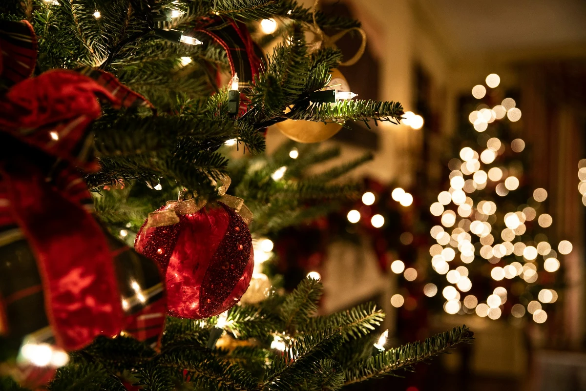 Decorated Christmas Tree in a living room